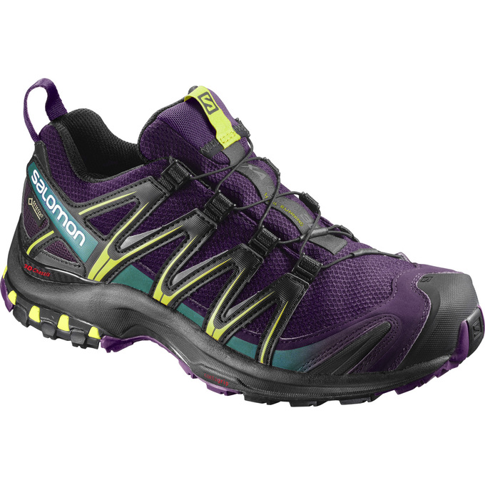 Zapatillas Trail Running Salomon Mujer Moradas / Negras - Salomon Argentina XA PRO 3D GTX® W ,891043